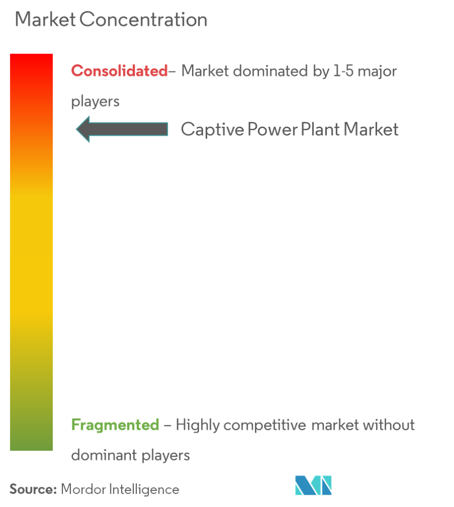 Captive Power Plant Market Concentration